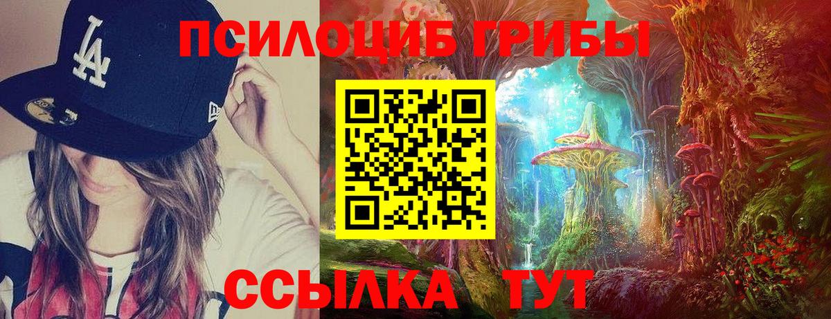 Псилоцибиновые грибы GOLDEN TEACHER  Вход с VPN  закладка  Галлюциногенные грибы ЛСД  Ахтубинск 